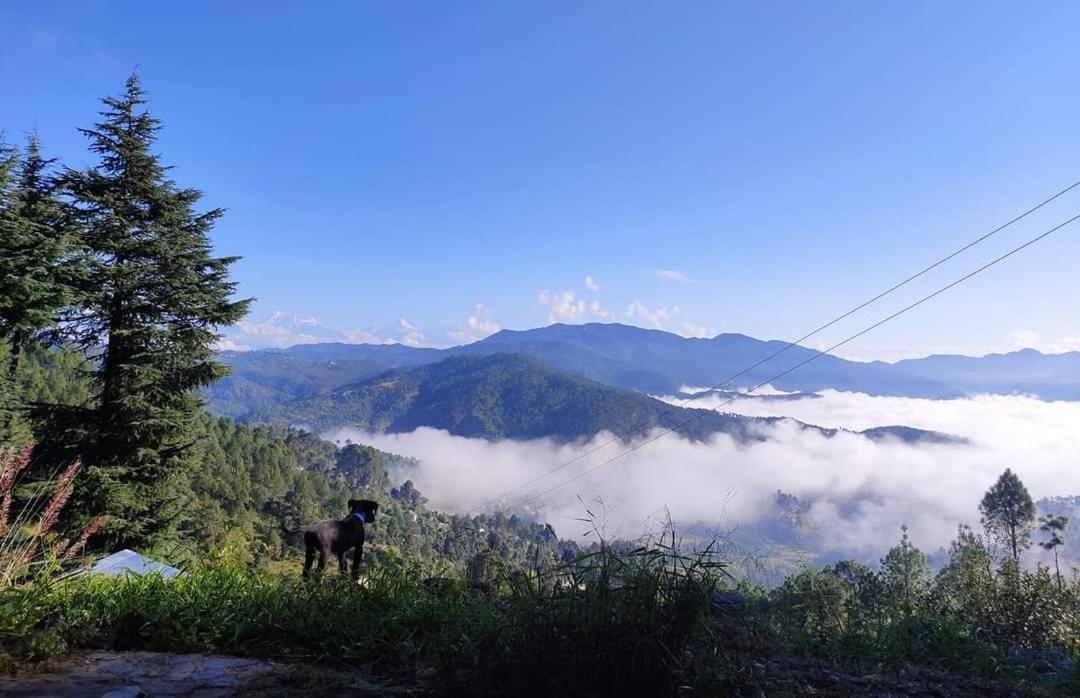 Little Himalayan Abode Villa อัลโมรา ภายนอก รูปภาพ
