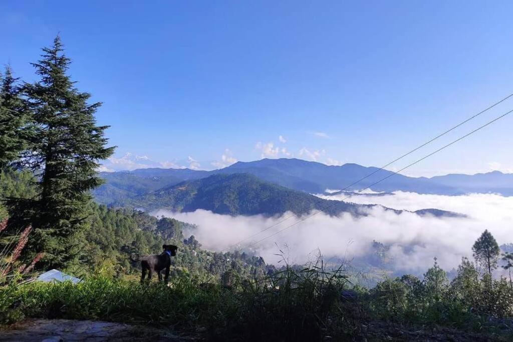 Little Himalayan Abode Villa อัลโมรา ภายนอก รูปภาพ