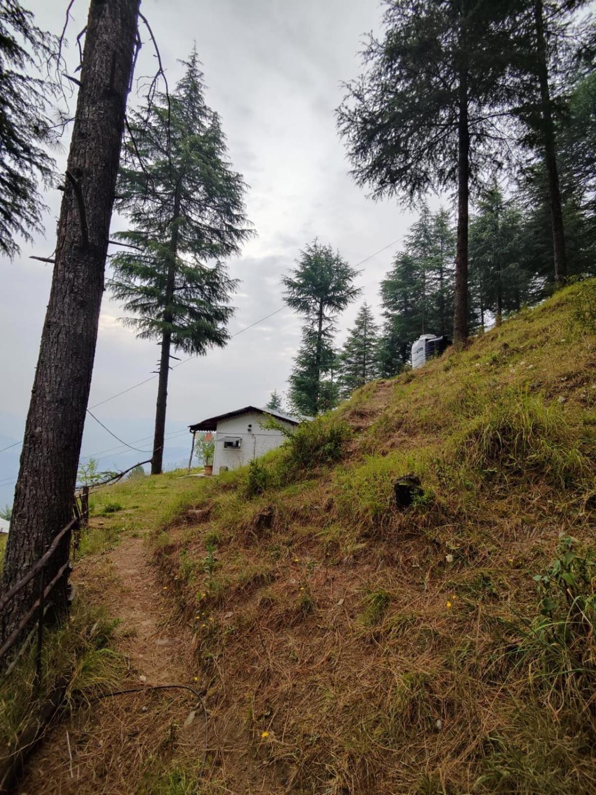 Little Himalayan Abode Villa อัลโมรา ภายนอก รูปภาพ